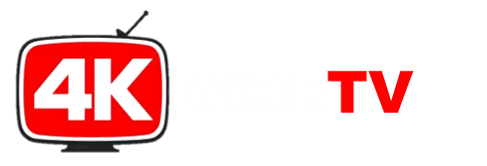 4kVibeTV Logo